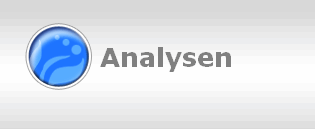 Analysen